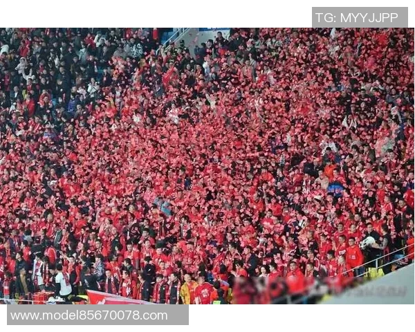 上海足球队灵活性引发热议球迷与专家各执己见